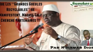 que-les-grandes-gueules-recyclables-se-manifestent-maquis-sale-cherche-partenaires-par-ndiawar-diop