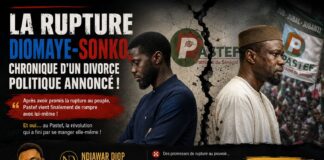 La rupture Diomaye-Sonko, chronique d’un divorce politique annoncé ! Par Ndiawar Diop