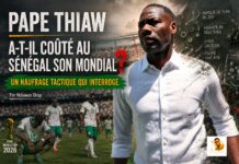 Pape Thiaw a-t-il coûté au Sénégal son Mondial ? Un naufrage tactique qui interroge. Par Ndiawar Diop