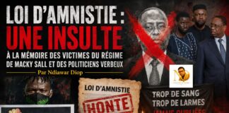 Loi d’Amnistie : Une Insulte à la Mémoire des Victimes du Régime de Macky Sall et des politiciens verbeux Par Ndiawar Diop Loi d'Amnistie : Une Insulte à la Mémoire des Victimes du Régime de Macky Sall et des politiciens verbeux Par Ndiawar Diop