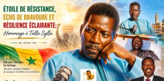 Étoile de Résistance, Écho de bravoure et Résilience éclairante: Hommage à Talla Sylla Étoile de Résistance, Écho de bravoure et Résilience éclairante: Hommage à Talla Sylla