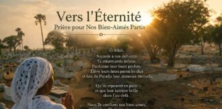 Vers l’Éternité : Prière pour Nos Bien-Aimés Partis. Par Ndiawar Diop Vers l'Éternité : Prière pour Nos Bien-Aimés Partis. Par Ndiawar Diop