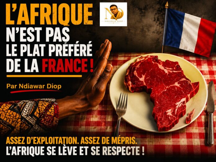 L'Afrique n'est pas le plat préféré de la France ! Par Ndiawar Diop L'Afrique n'est pas le plat préféré de la France ! Par Ndiawar Diop