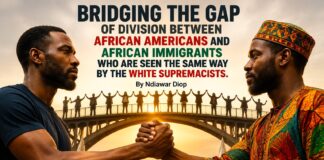 Bridging the Gap of Division Between African Americans and African Immigrants who are seen the same way by the White Supremacists. By Ndiawar Diop Bridging the Gap of Division Between African Americans and African Immigrants who are seen the same way by the White Supremacists. By Ndiawar Diop