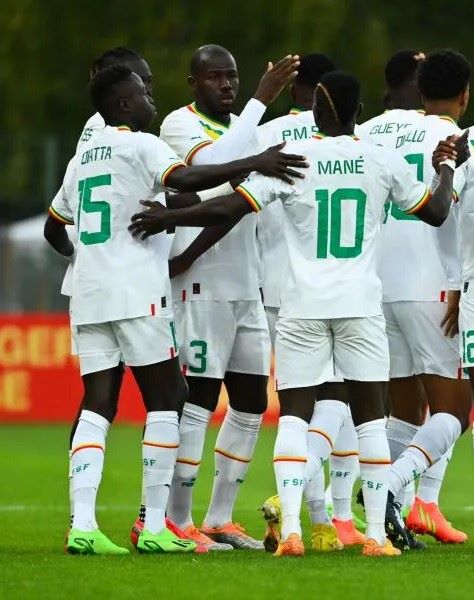 Lions-du-Senegal