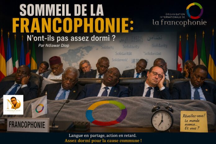 Sommeil de la Francophonie: N'ont-ils pas assez dormi ? Par Ndiawar Diop Sommeil de la Francophonie: N'ont-ils pas assez dormi ? Par Ndiawar Diop