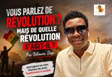 Vous parlez de révolution ? Mais de quelle révolution s’agit-il ? Par Ndiawar Diop Vous parlez de révolution ? Mais de quelle révolution s'agit-il ? Par Ndiawar Diop