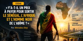 Essai: « y’a-t-il un prix à payer pour sortir le Sénégal, l’Afrique et l’homme noir de l’abîme ? » Par Ahmadou Diop Essai: « y’a-t-il un prix à payer pour sortir le Sénégal, l’Afrique et l’homme noir de l’abîme ? » Par Ahmadou Diop