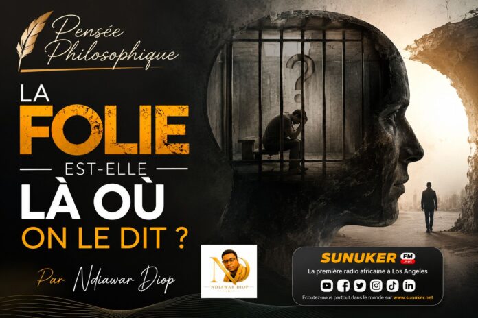 Pensée Philosophique: La folie est-elle là où on le dit ? Par Ndiawar Diop Pensée Philosophique: La folie est-elle là où on le dit ? Par Ndiawar Diop