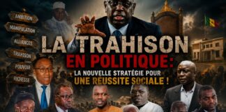 La Trahison en Politique: la nouvelle stratégie pour une réussite sociale ! Par Ndiawar Diop La Trahison en Politique: la nouvelle stratégie pour une réussite sociale ! Par Ndiawar Diop
