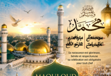 Maouloud Nabi 2026: Le Sénégal chante l’amour du Prophète Mohamed PSL, la lumière qui habite nos cœurs ! Par Serigne Saliou Diop Ndiawar Maouloud Nabi 2026: Le Sénégal chante l’amour du Prophète Mohamed PSL, la lumière qui habite nos cœurs ! Par Serigne Saliou Diop Ndiawar