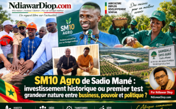SM10 Agro de Sadio Mané : investissement historique ou premier test grandeur nature entre business, pouvoir et politique ? Par Ndiawar Diop SM10 Agro de Sadio Mané investissement historique ou premier test grandeur nature entre business, pouvoir et politique