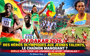 JOJ DAKAR 2026 : Des héros olympiques aux jeunes talents, le chaînon manquant ? Quelle place pour les légendes du sport sénégalais ? Par Ndiawar Diop JOJ DAKAR 2026 : Des héros olympiques aux jeunes talents, le chaînon manquant ? Quelle place pour les légendes du sport sénégalais ? Par Ndiawar Diop